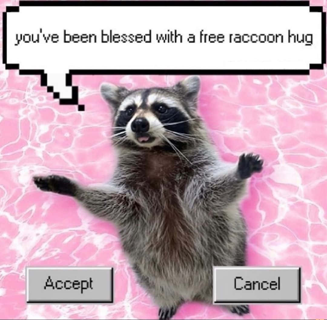 Funny Raccoon You've Been Blessed Pixel Aesthetic Picture
