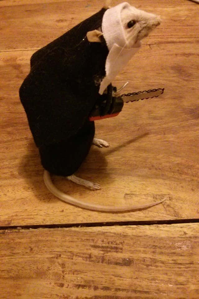 Witzigesbild Einer Ratte In Nonnenkluft