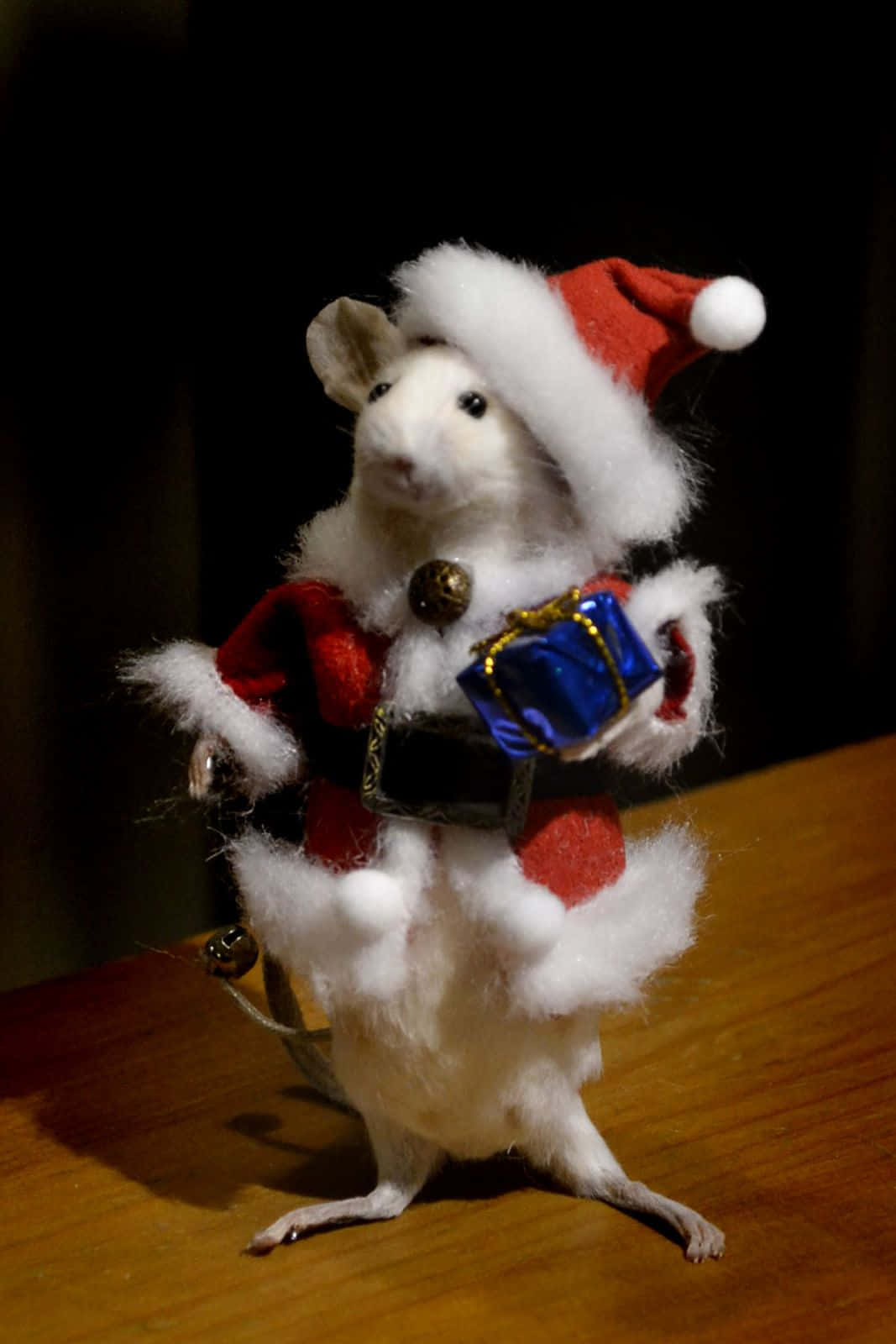 Imagemengraçada De Um Rato Vestido De Papai Noel.