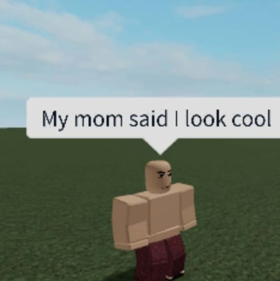 Funny Bald Roblox Pictures