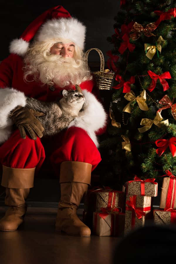 Funny Santa With Cat Picture