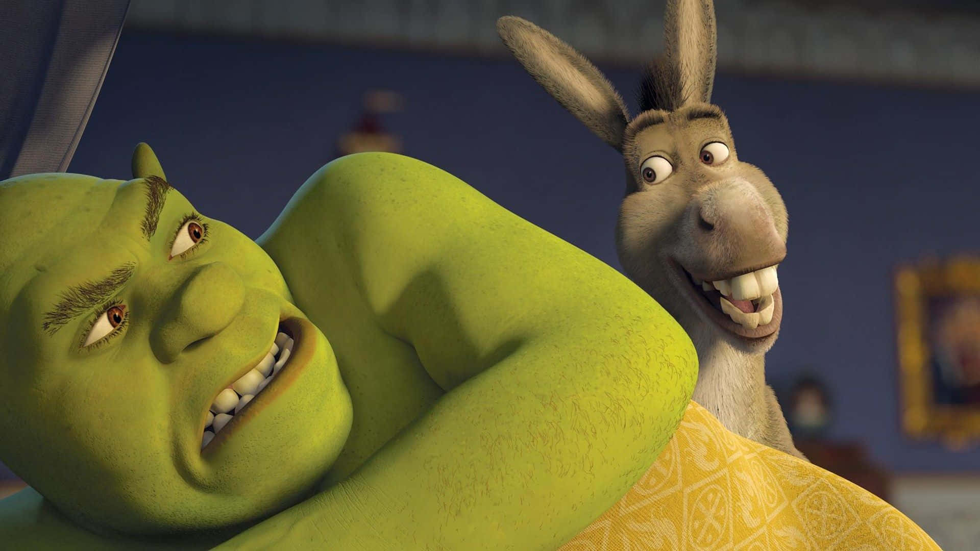Funny Shrek In Bed Annoyed By Donkey Wallpaper