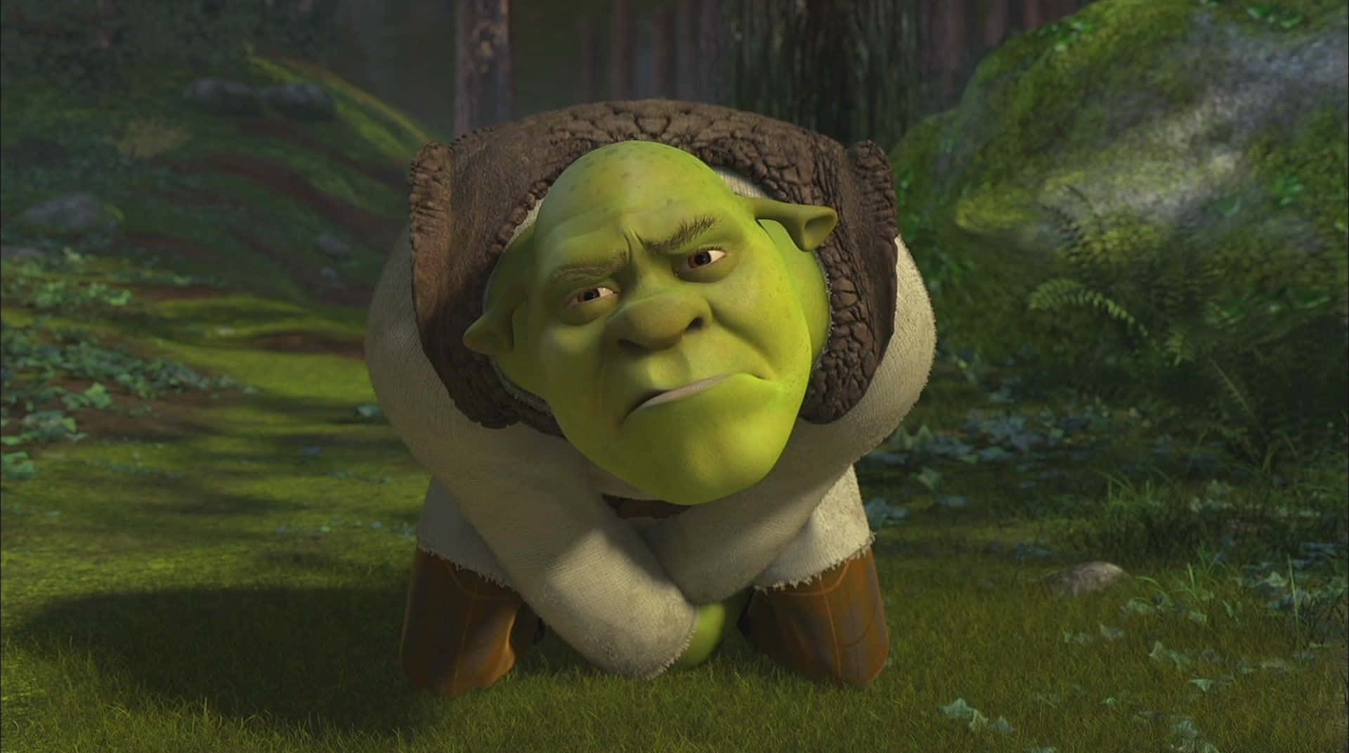 Shrek has a goofy grin that will make you laugh.
