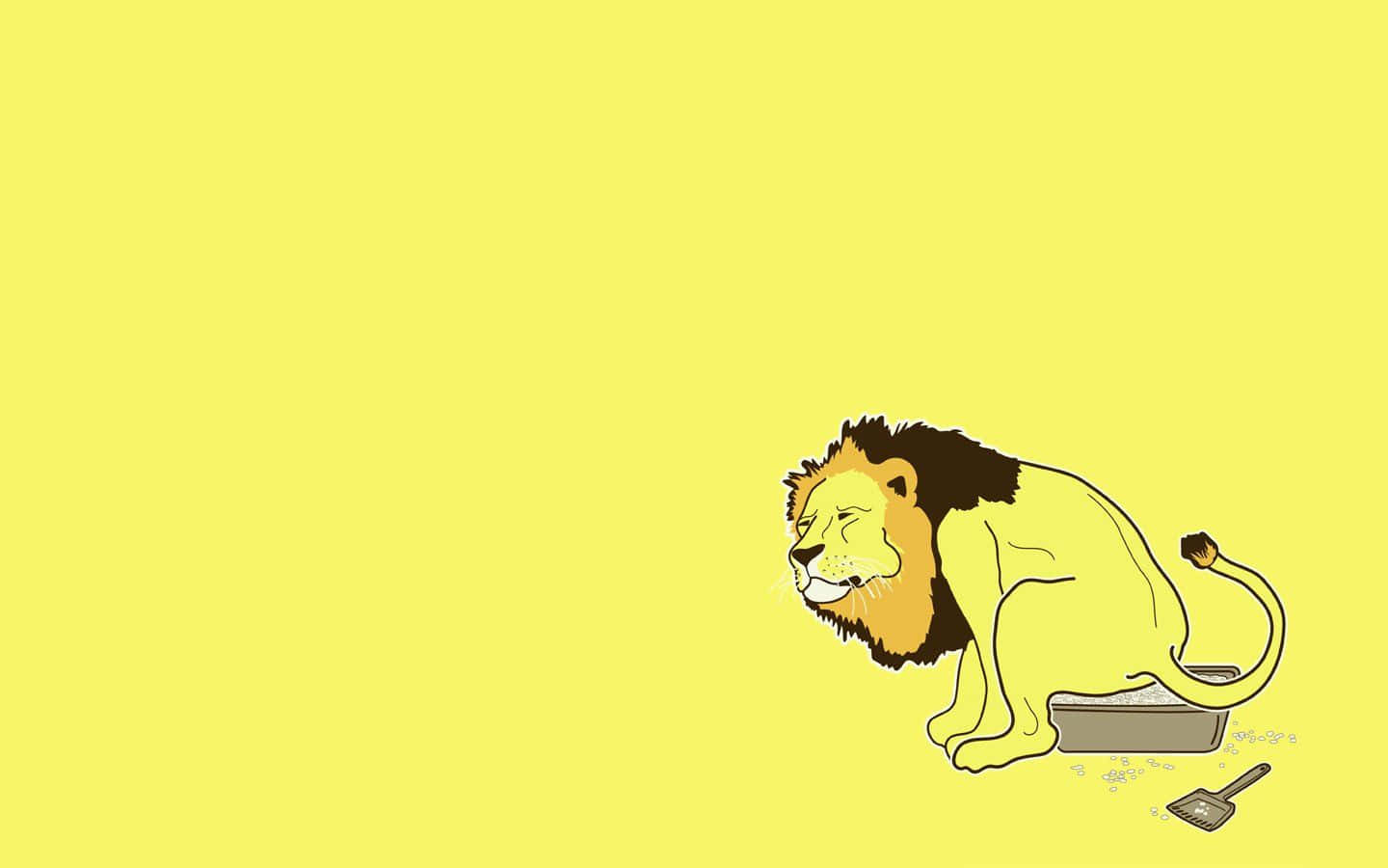 Lion Litterbox Funny Simple Desktop Wallpaper