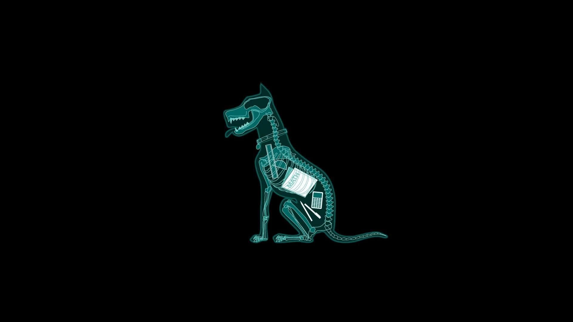 Dog X-ray Funny Simple Desktop Wallpaper