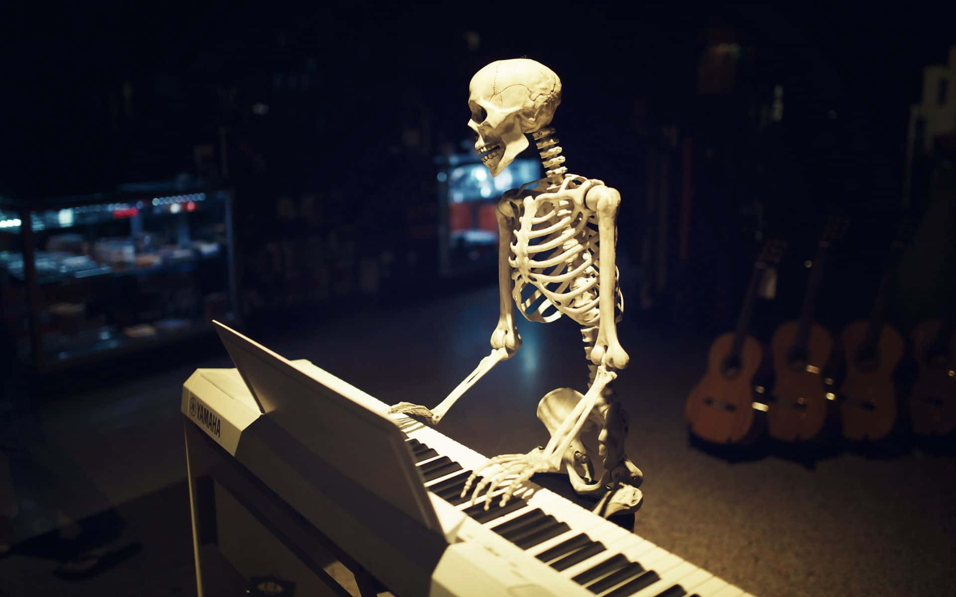 Funny Skeleton Piano Playing Picture