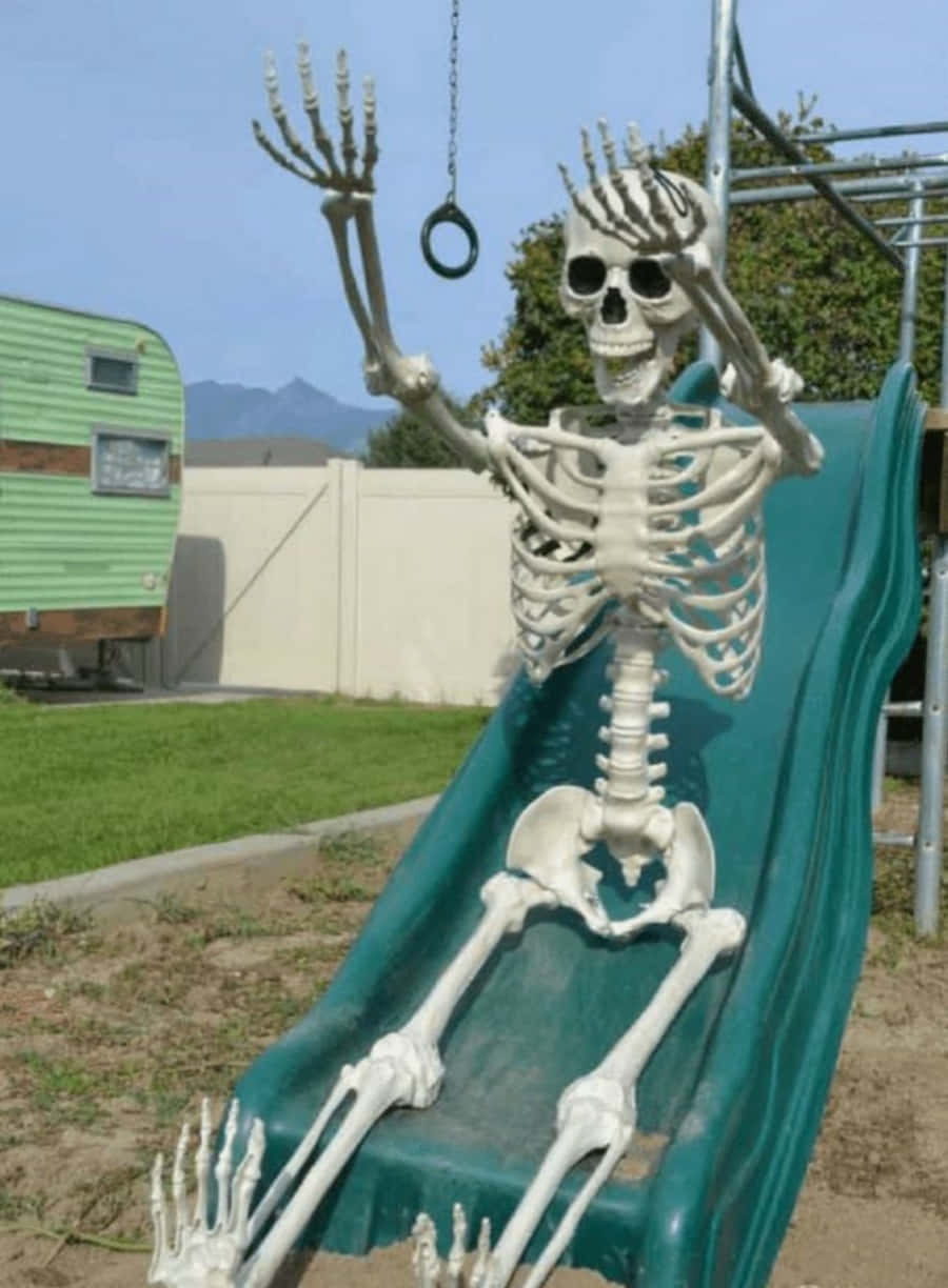 Funny Skeleton Sliding Playground Picture