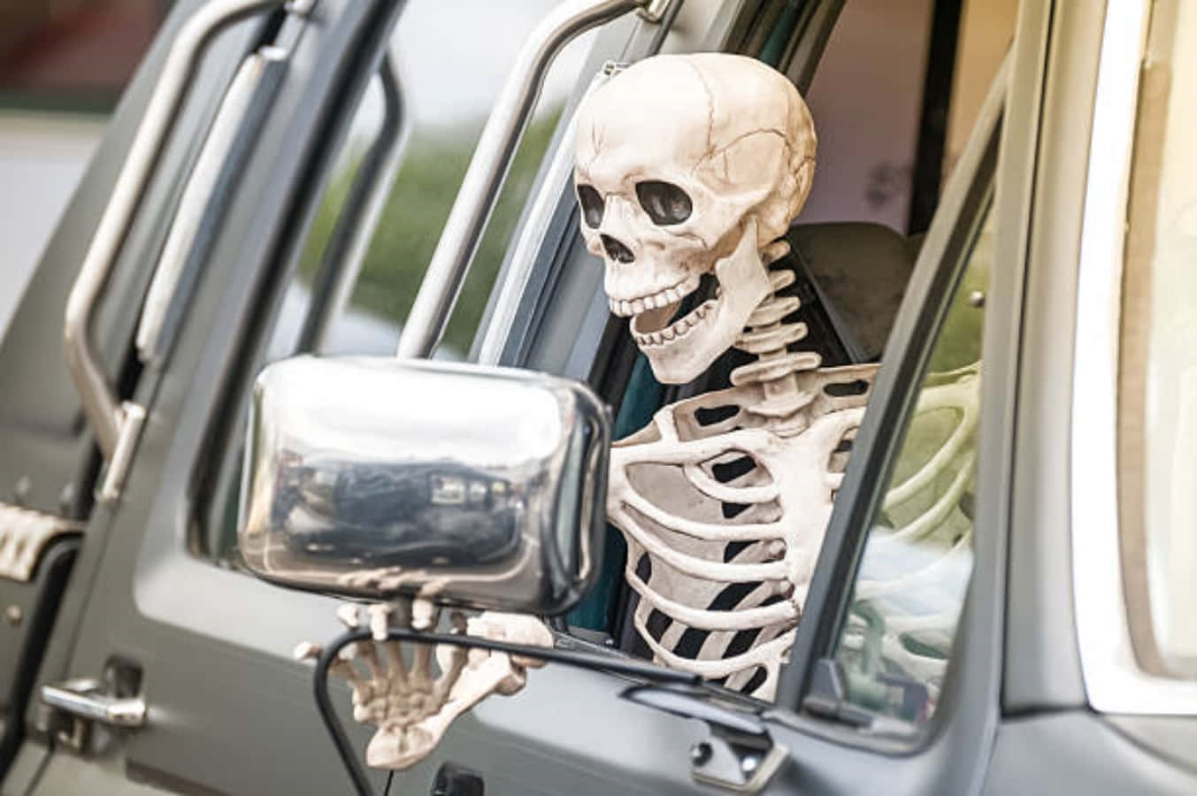 Funny Skeleton Driving Car Picture