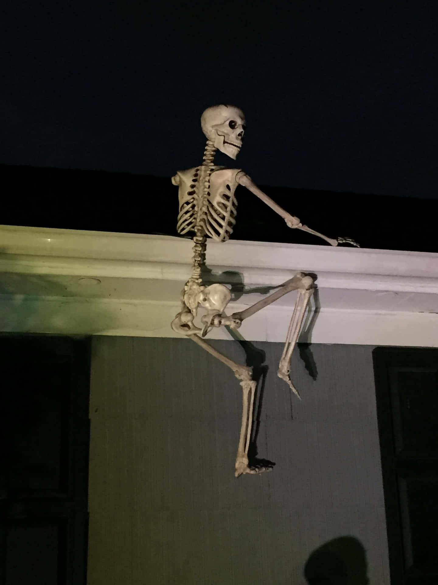 Funny Skeleton Hanging Display Picture