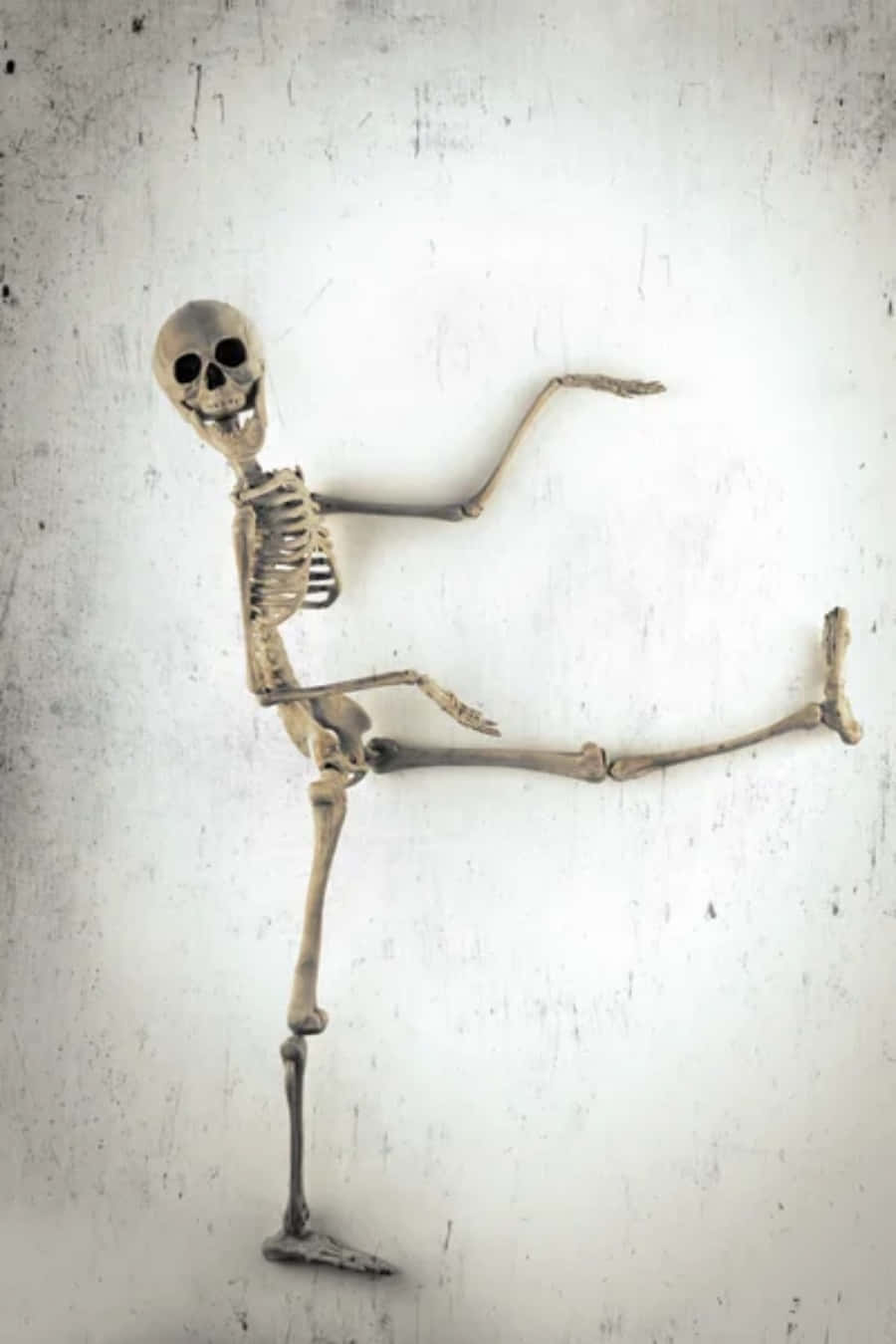 Funny Skeleton Interesting Pose Picture