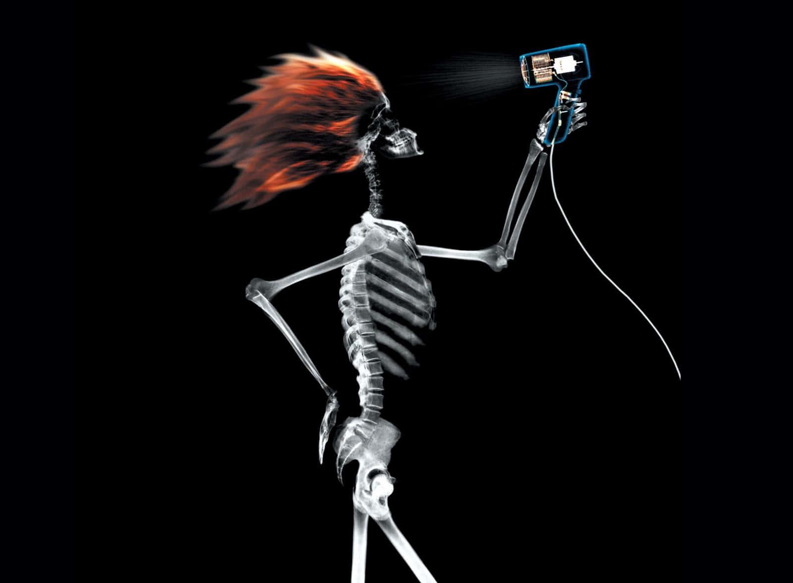 Funny Skeleton Hair Blowing Picture