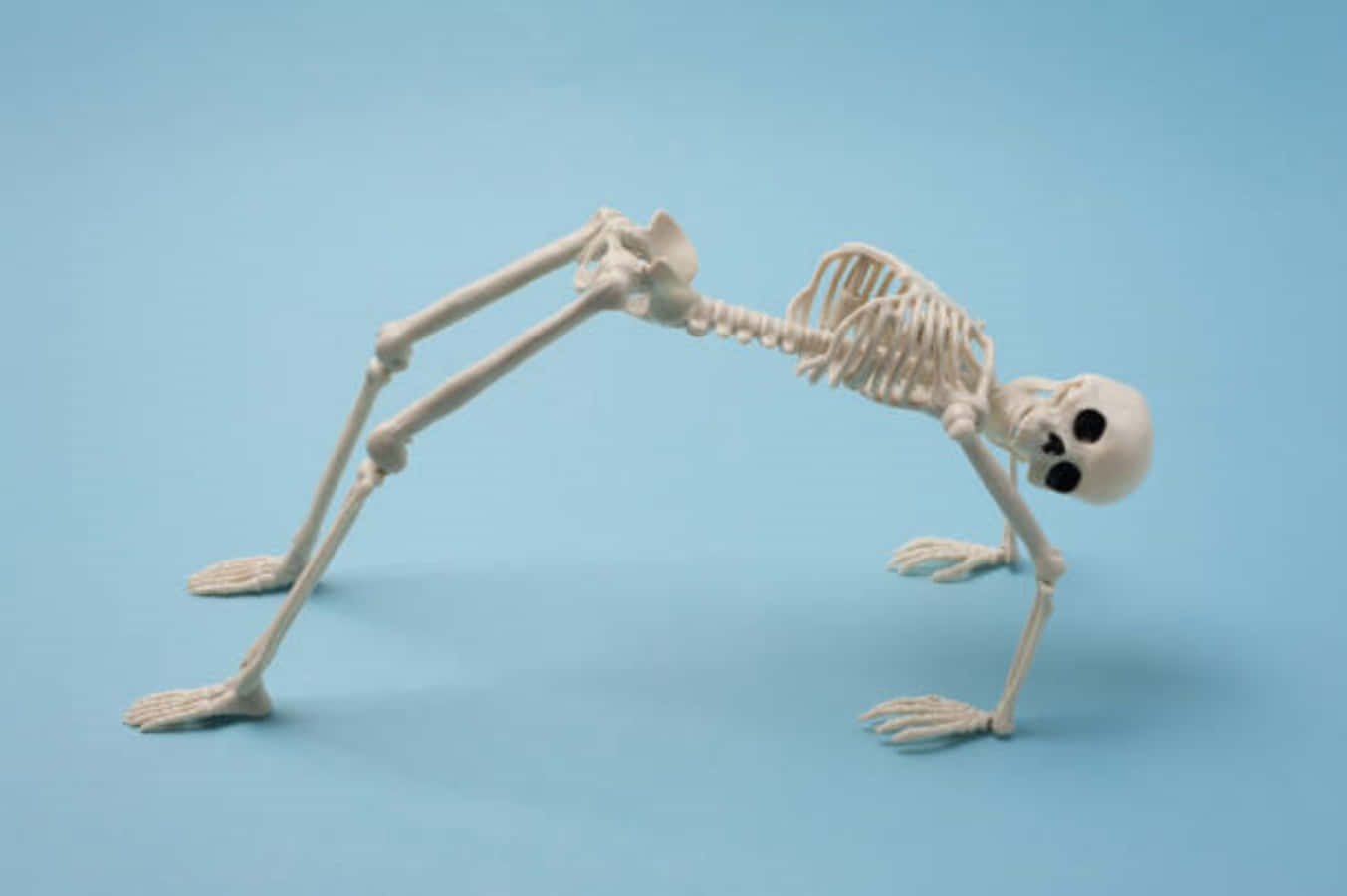 Funny Skeleton Back Bend Picture