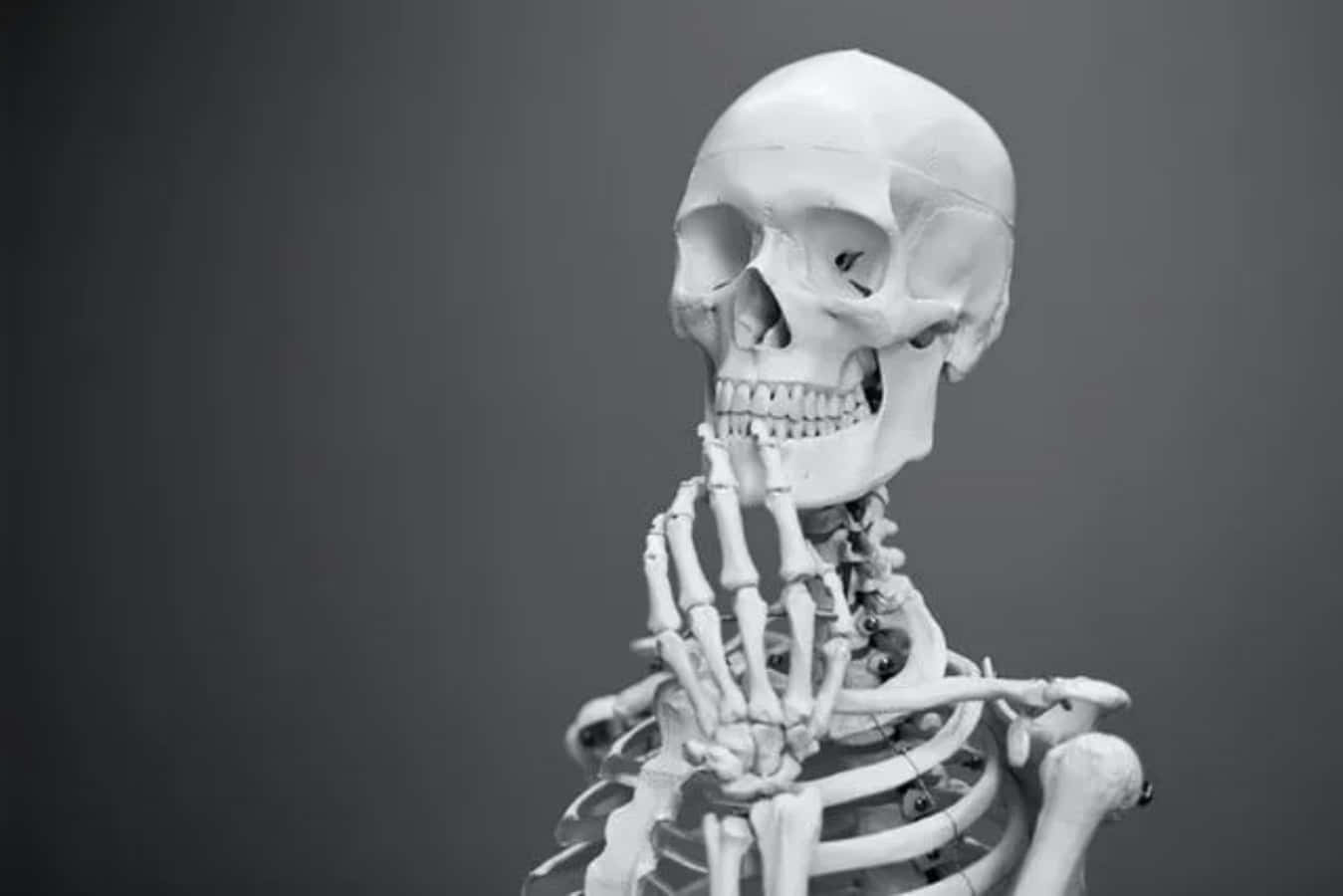Funny Skeleton White Thinking Picture
