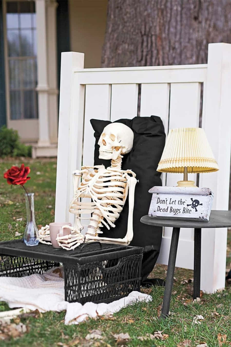 Funny Skeleton Lounging Outdoors Picture