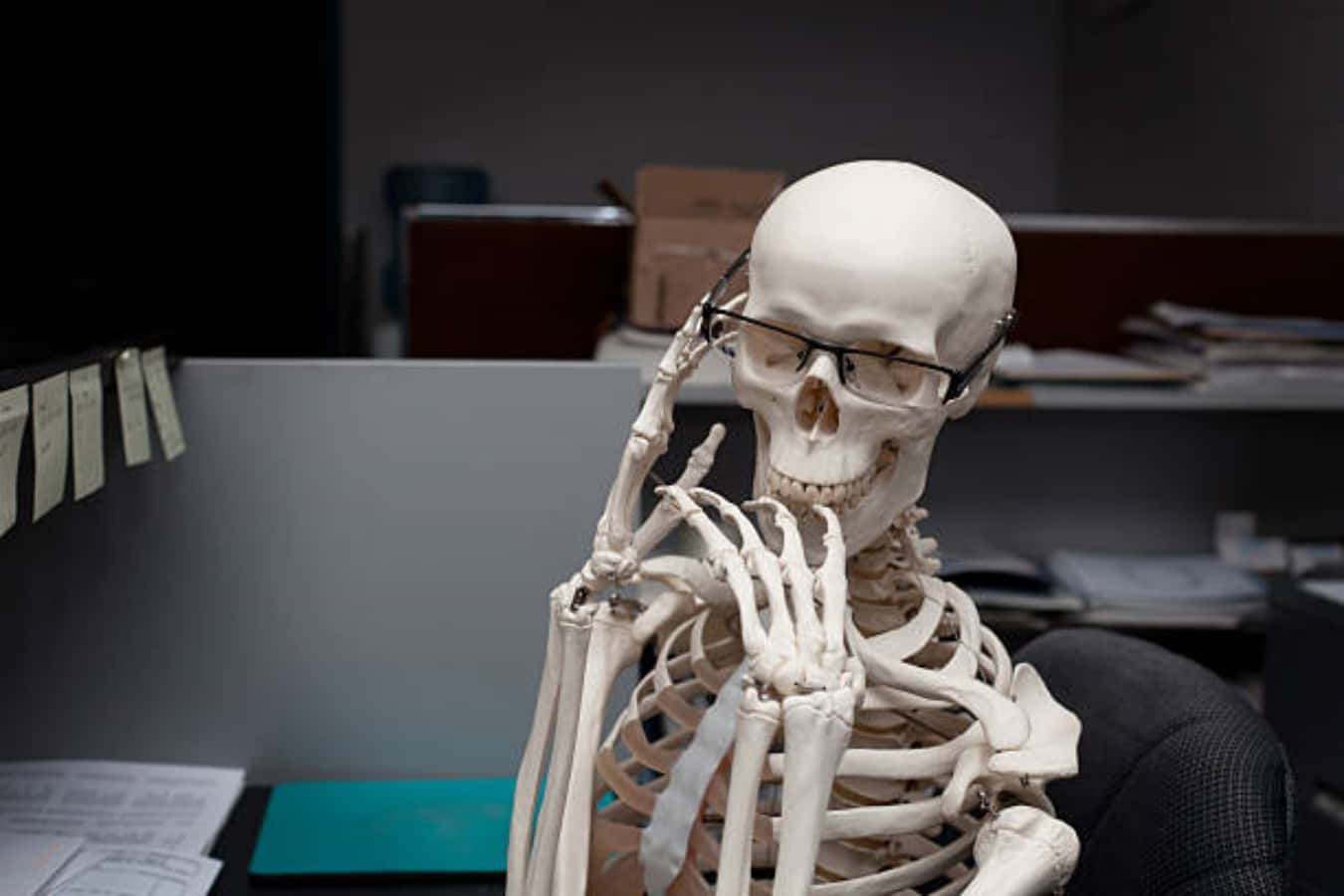 Funny Skeleton Office Work Picture