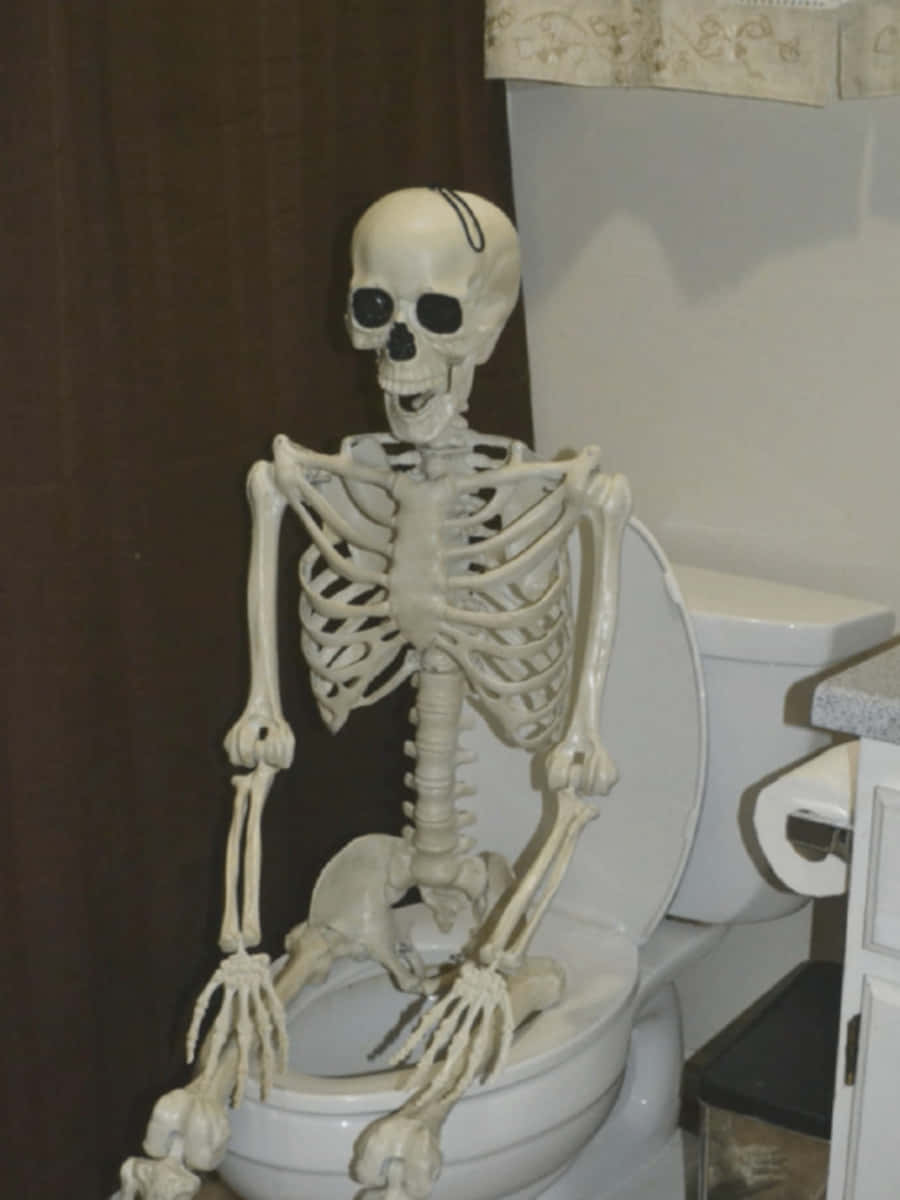 Funny Skeleton Toilet Sitting Picture