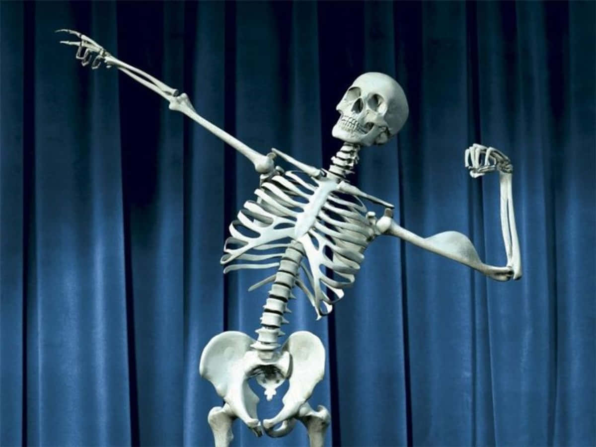 Funny Skeleton Flexing Muscles Picture
