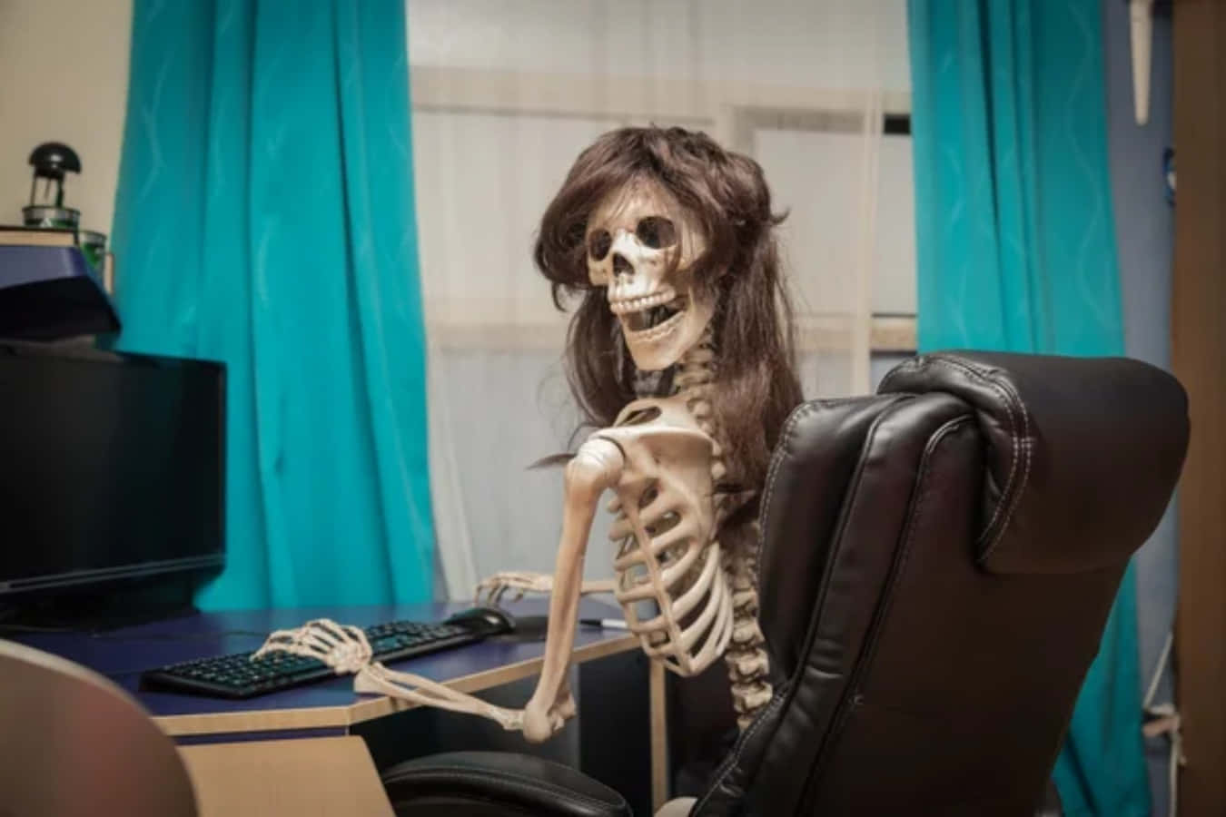 Funny Skeleton Wig Working Pictures