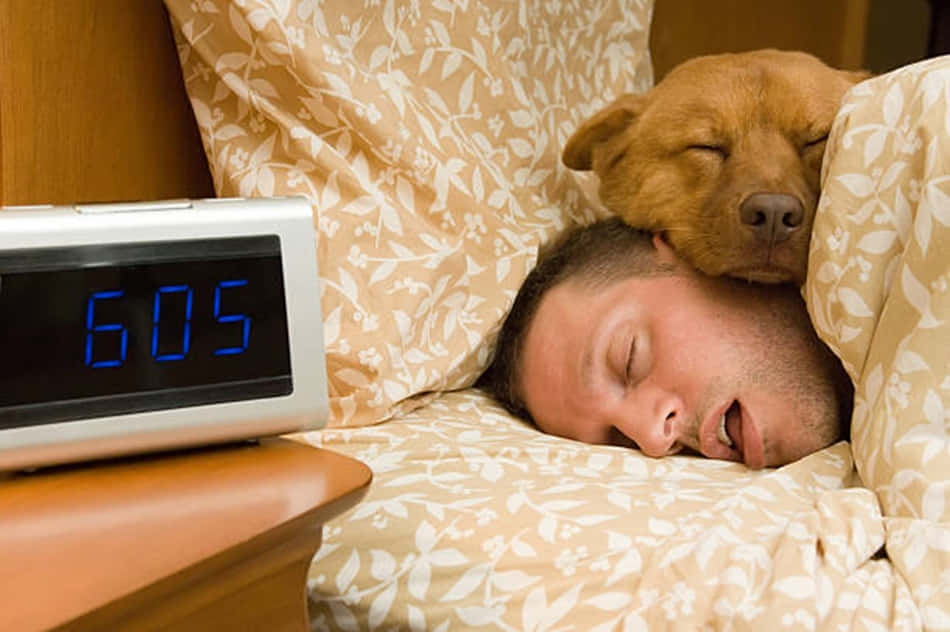 Dog And Man Funny Sleeping Picture