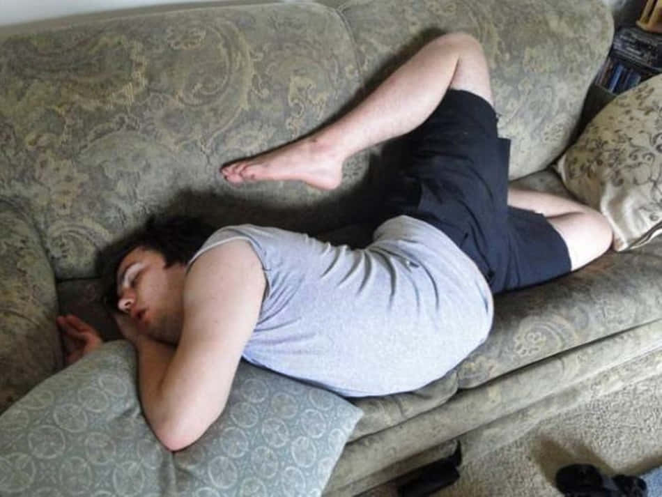 En mand sovende på en sofa sjovt billede tapet