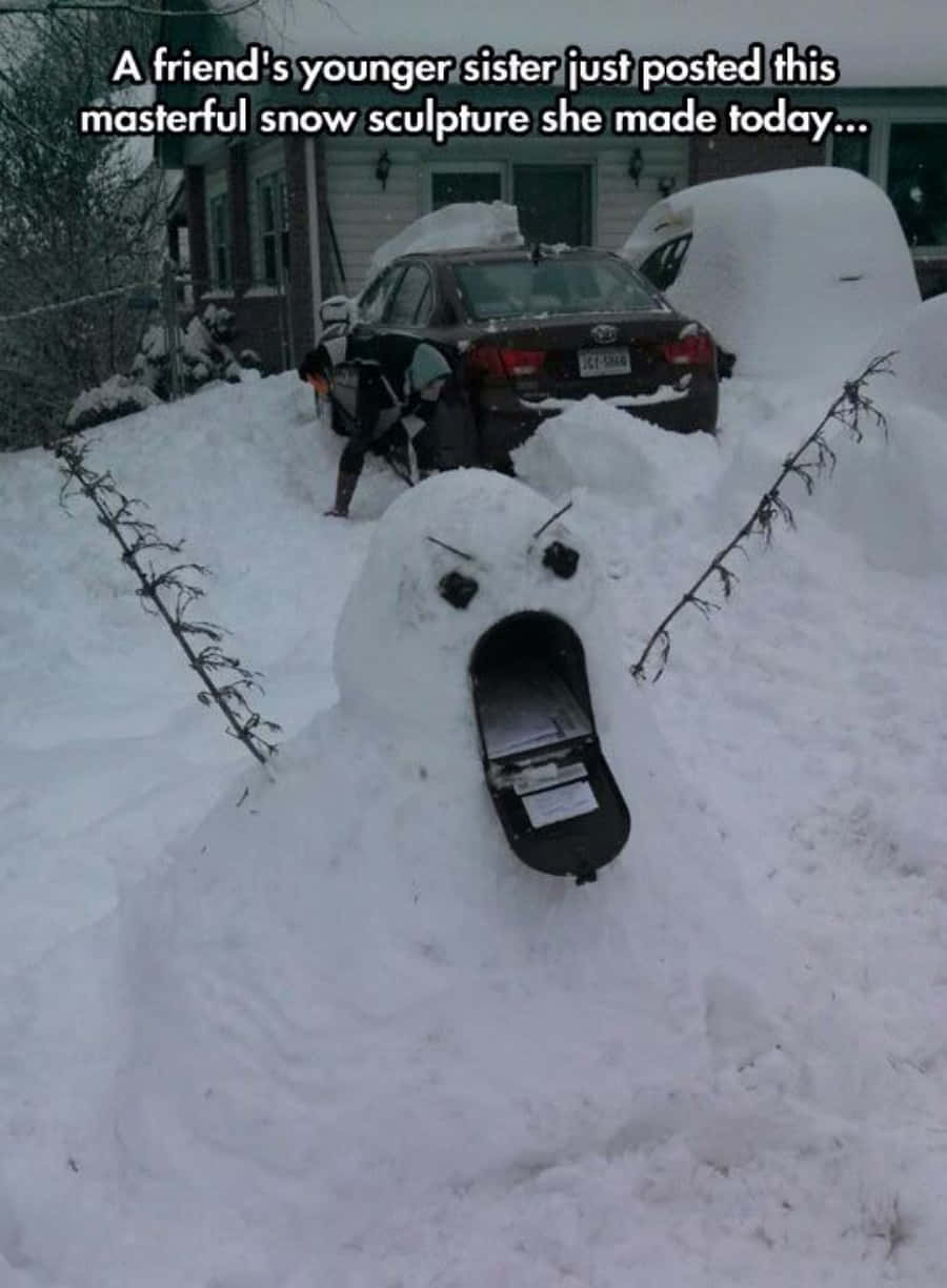 Sjove sne monster udenfor huset billedet