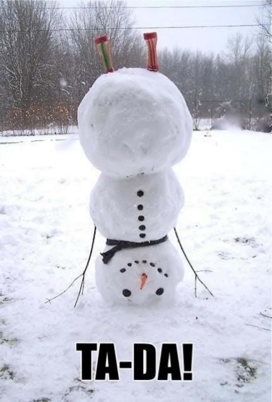 Funny Snow Man Upside Down Picture