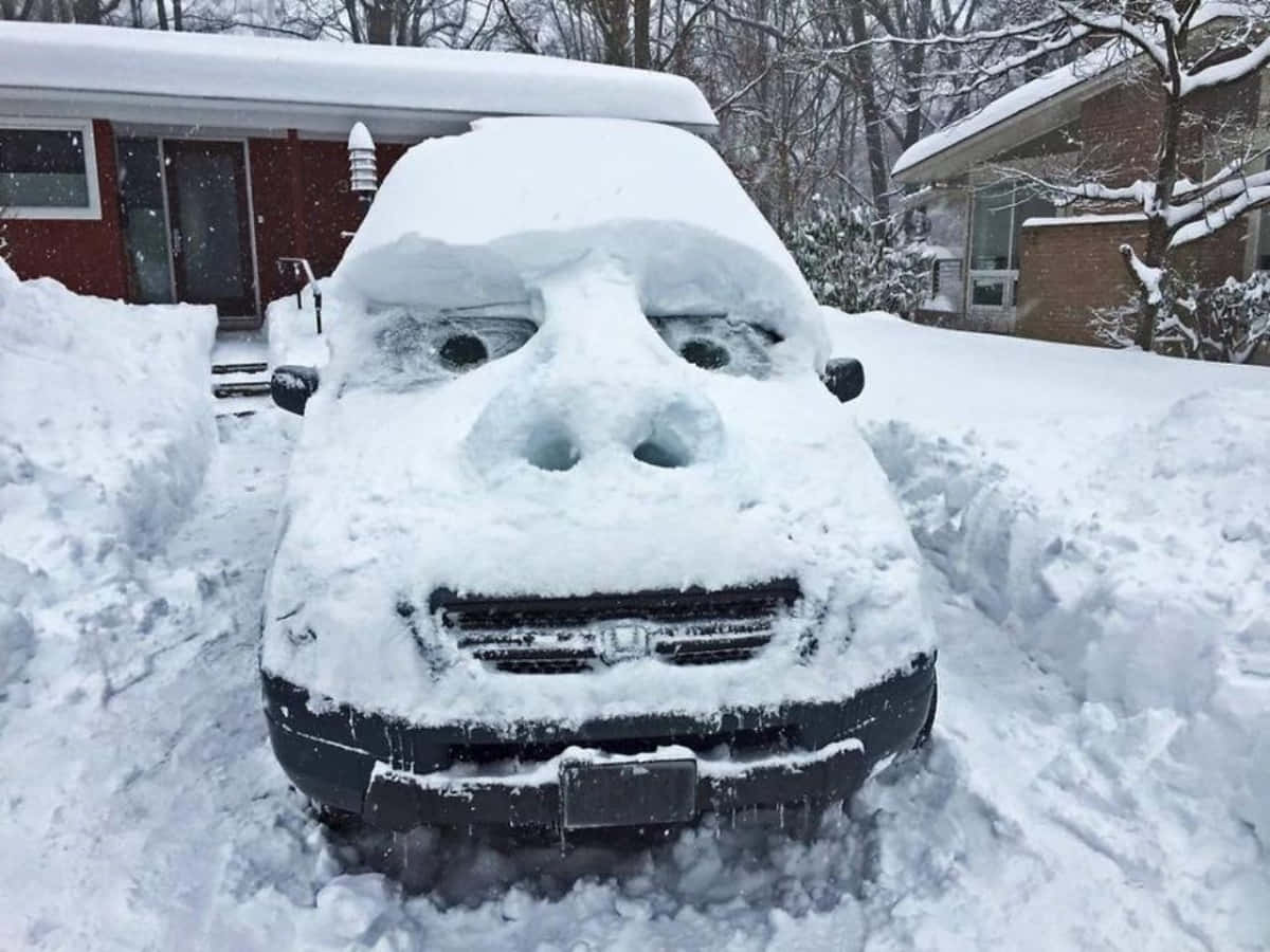 Funny Snow Funny Face On Car Picture