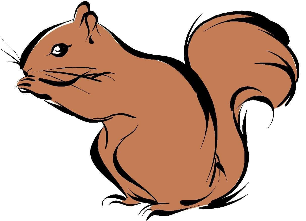 Lustigeeichhörnchen Digitale Kunstbilder