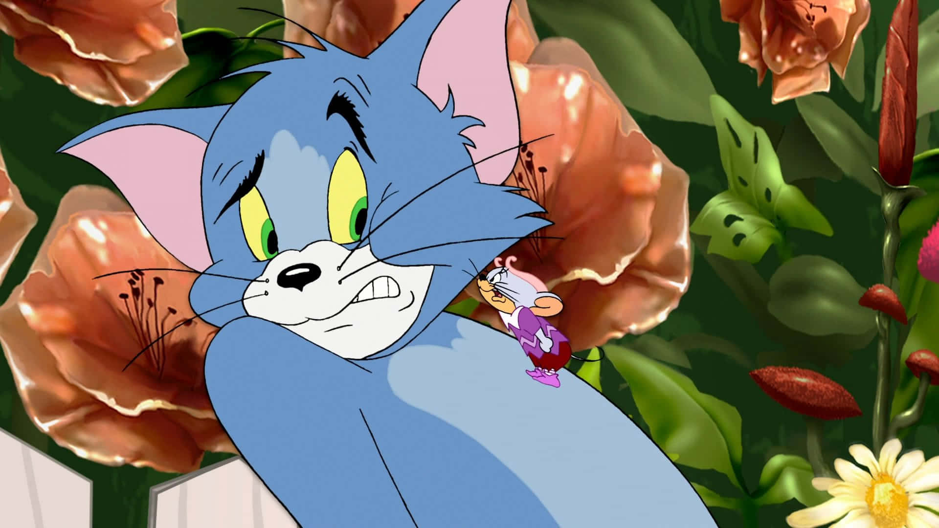 Sjove Tom Og Jerry-billeder 1920 X 1080