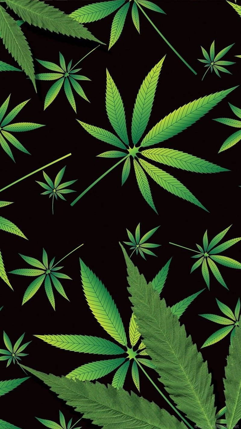 Funny Weed Minimalist Design Wallpaper