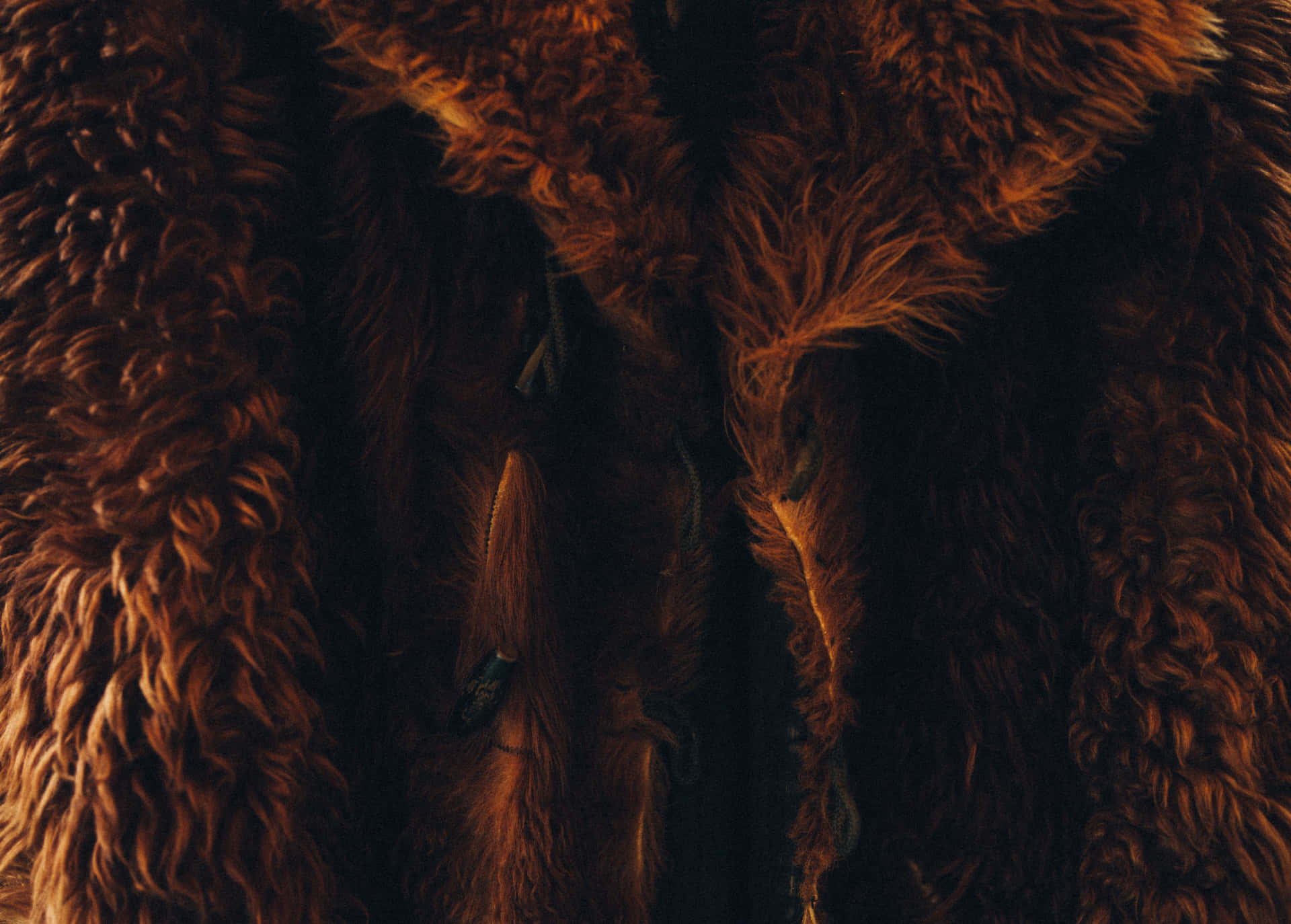A Brown Fur Coat Hanging On A Hanger