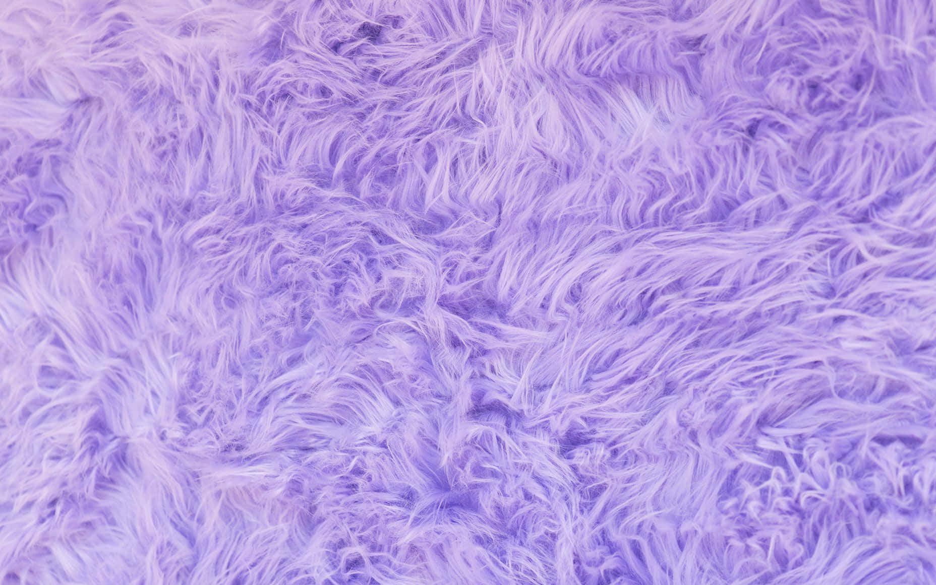 Purple Furry Background With A Close Up View