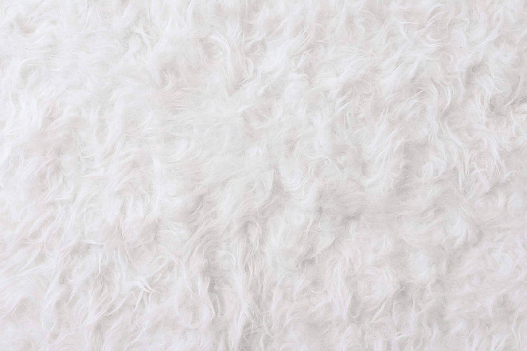 Fur Rug White Texture Wallpaper