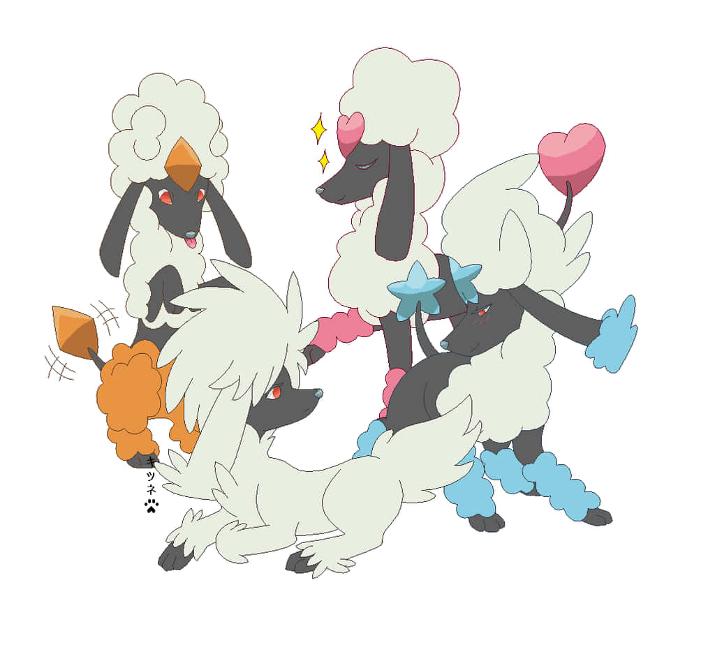 Variations De Pokémon Furfrou Fond d'écran