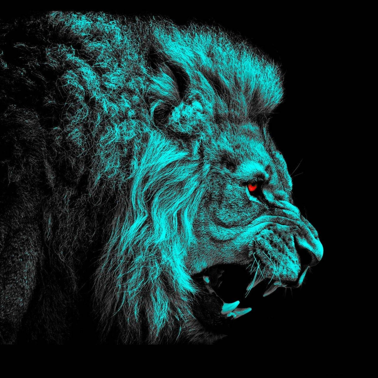 Fierce Blue Fire Lion Eyes in Night Wallpaper