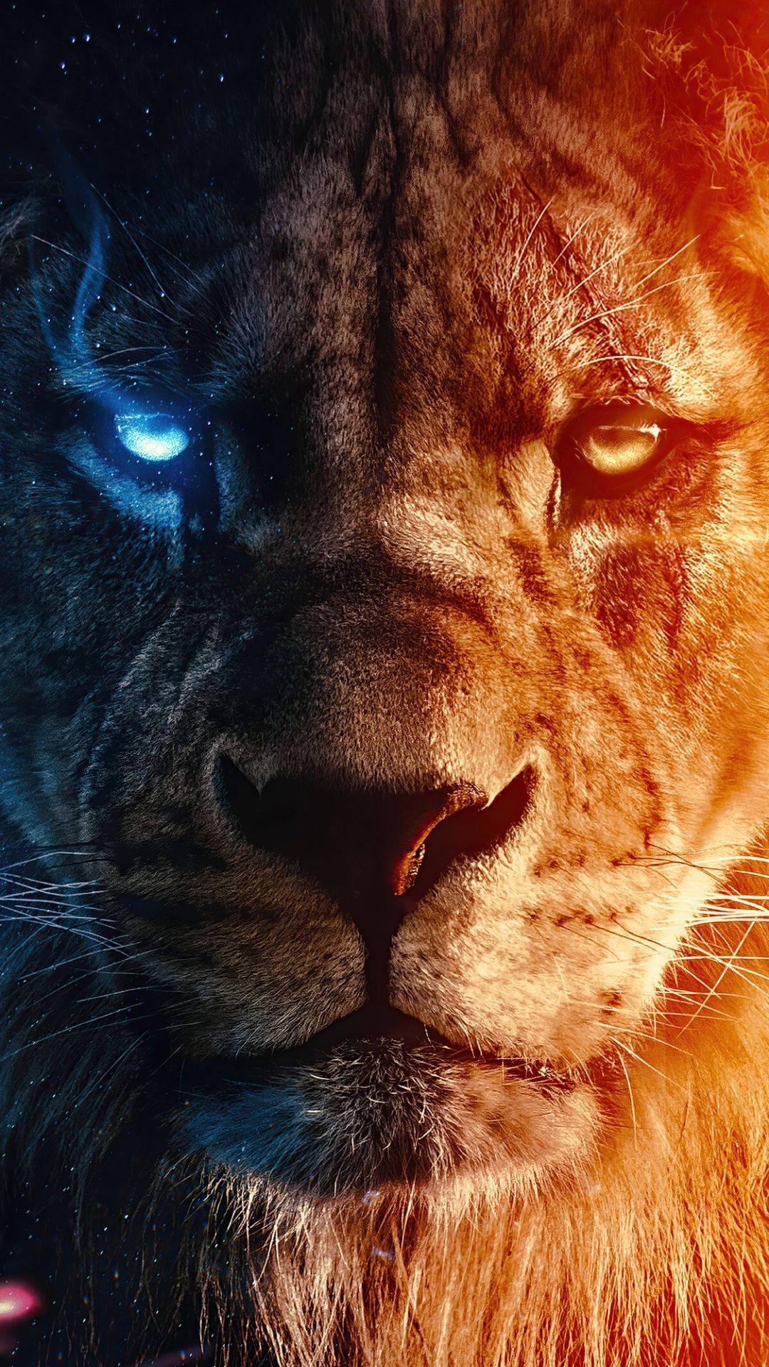 Furious Lion King Wallpaper