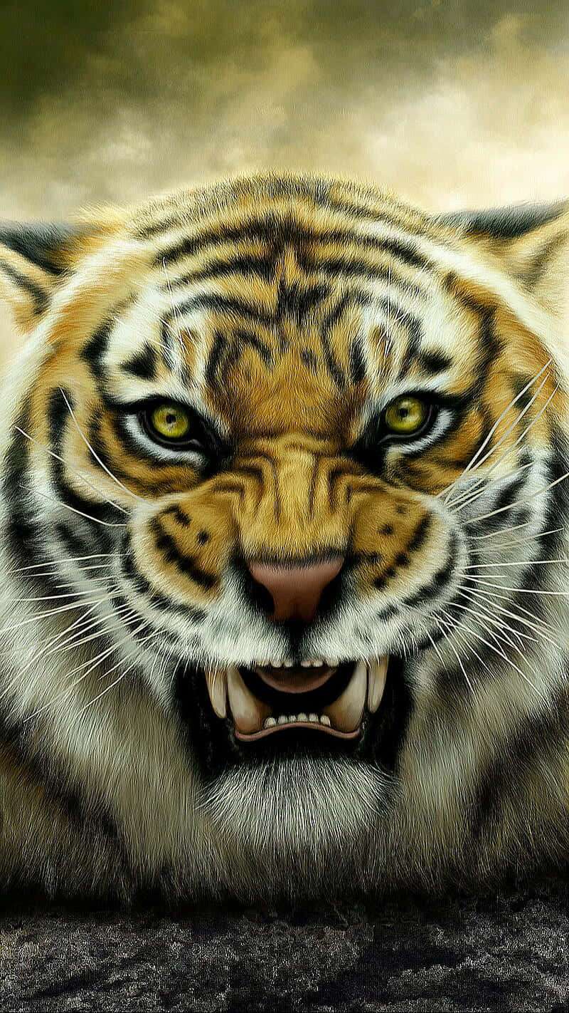 Furious Tiger Face Background