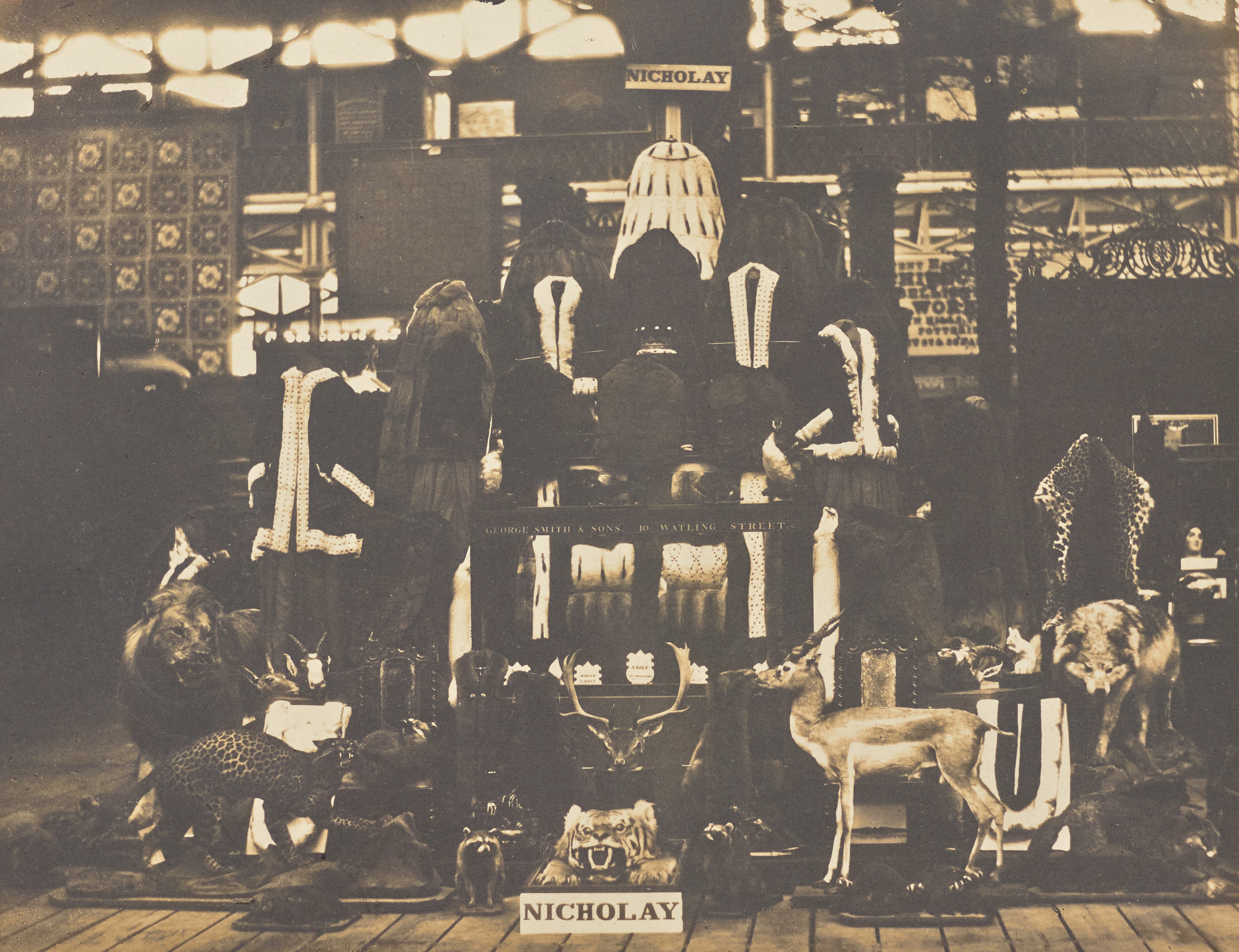 Furs Wallpaper