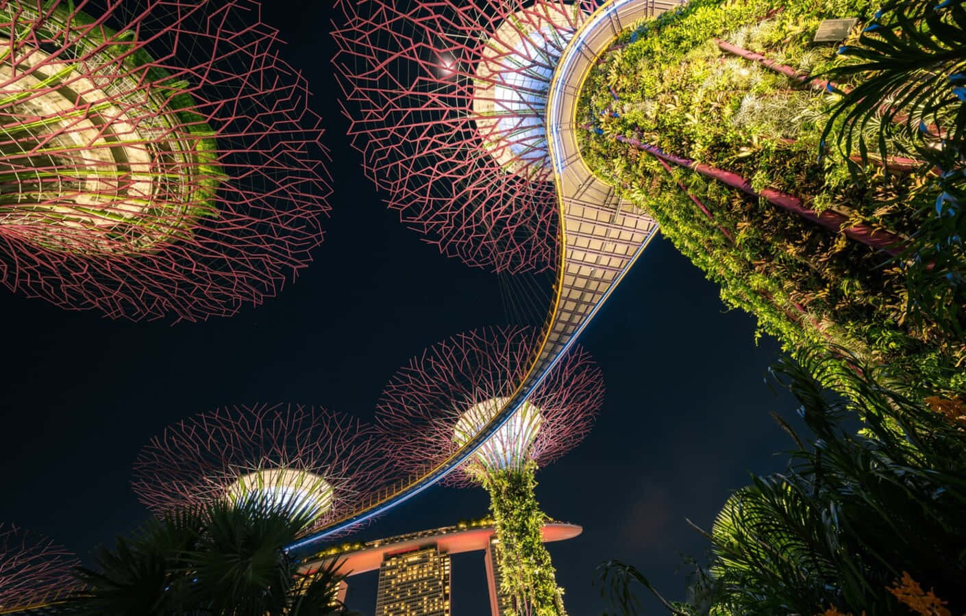Futuristic Garden Skywalk Night Wallpaper