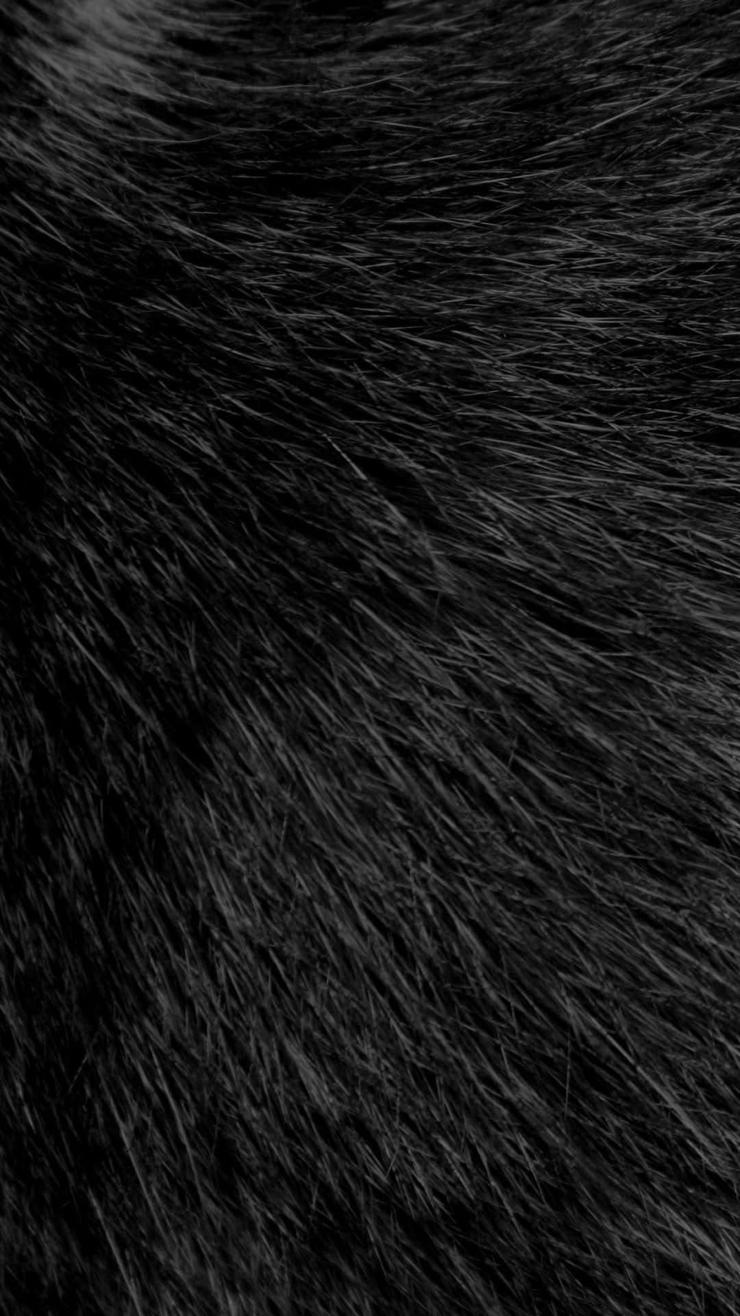 Fuzzy Black Hair Wallpaper
