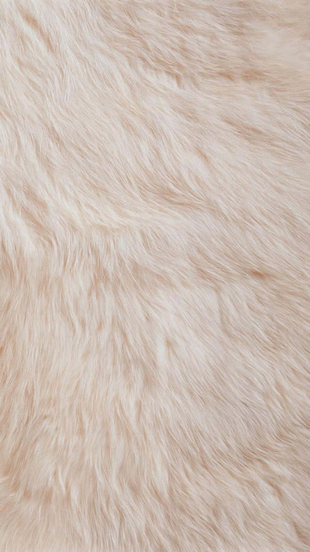 Fuzzy Off-white Fur Wallpaper