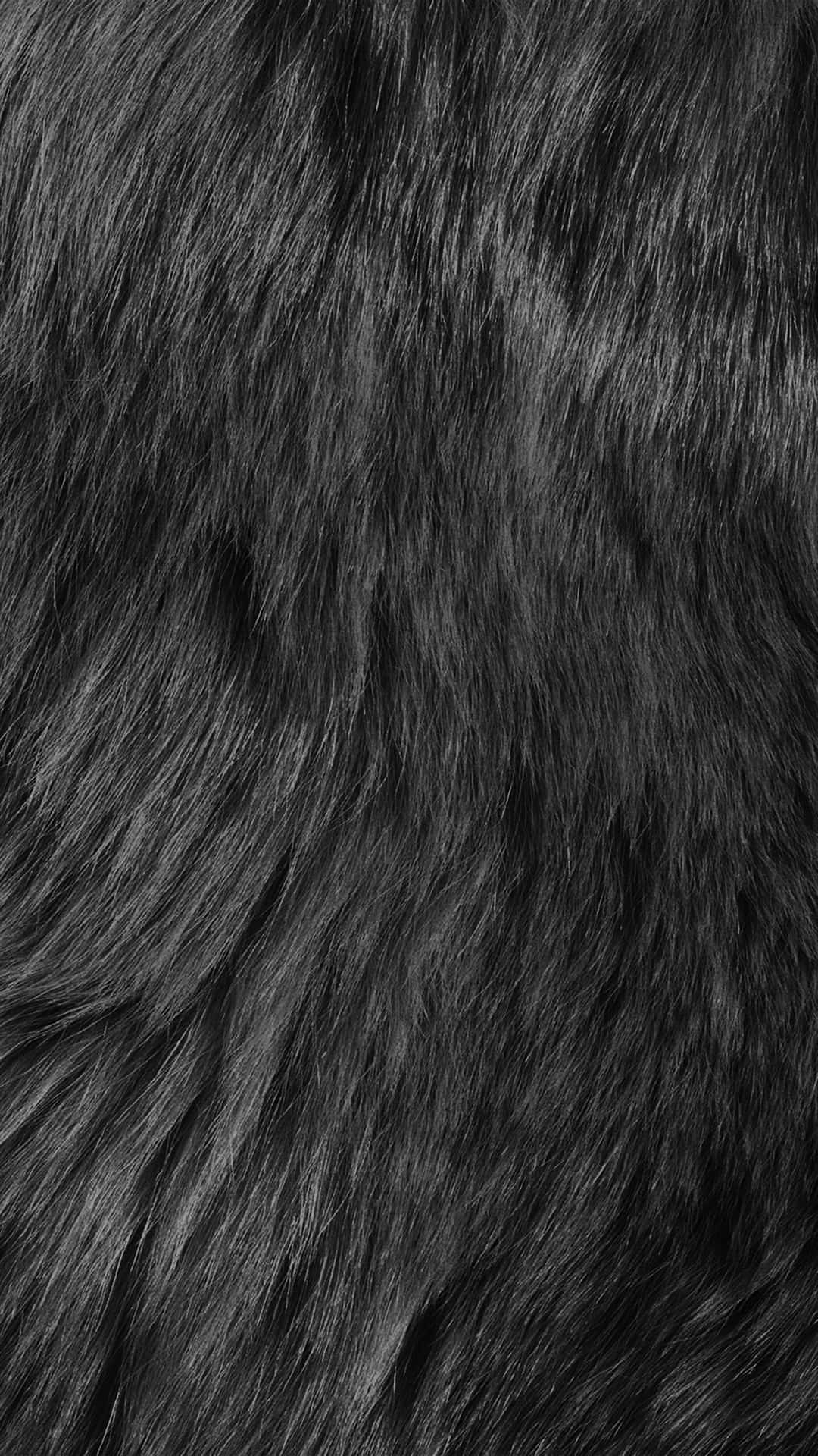 Fuzzy Wavy Hair Wallpaper
