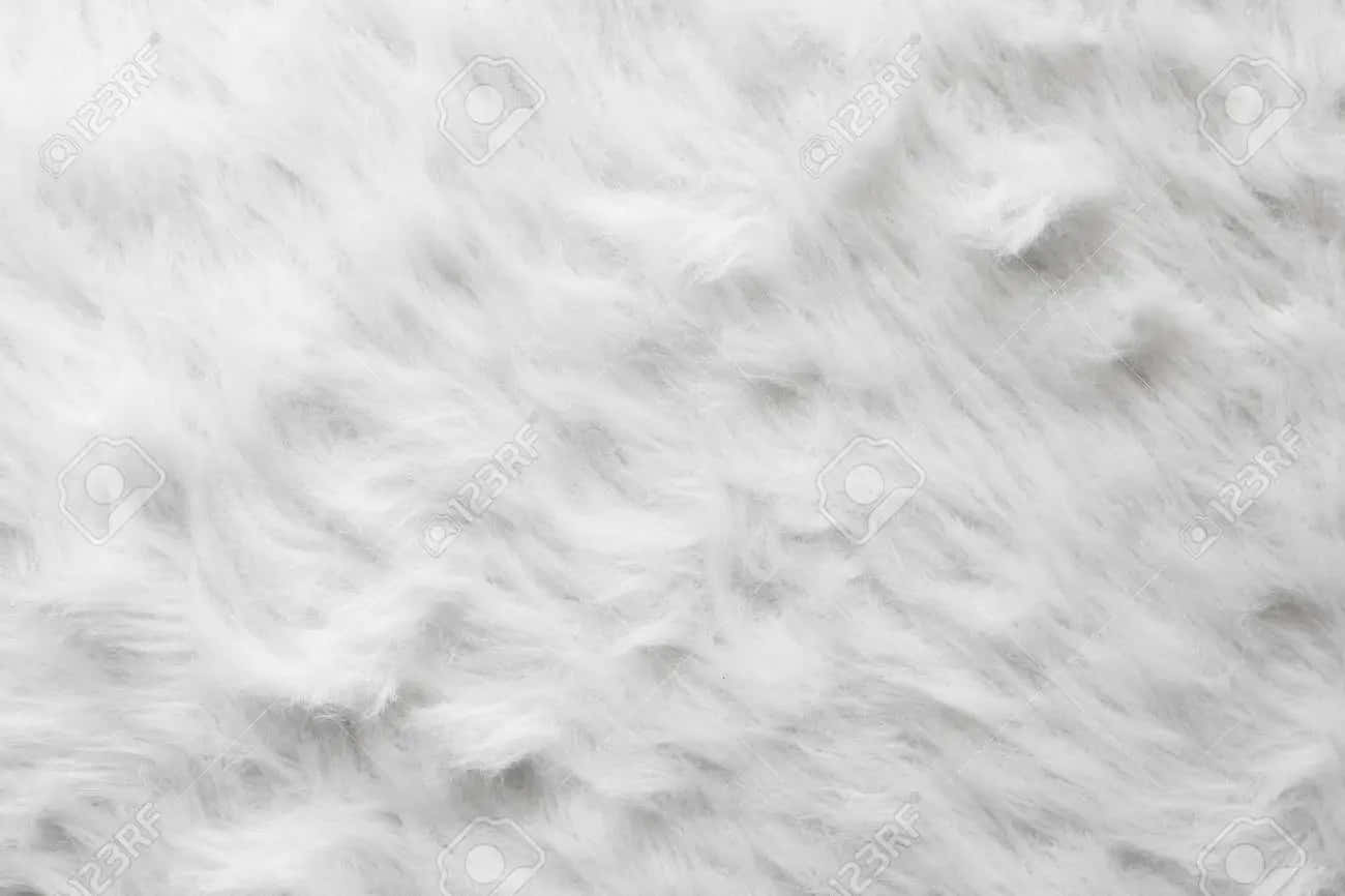 Fuzzy White Fabric Wallpaper