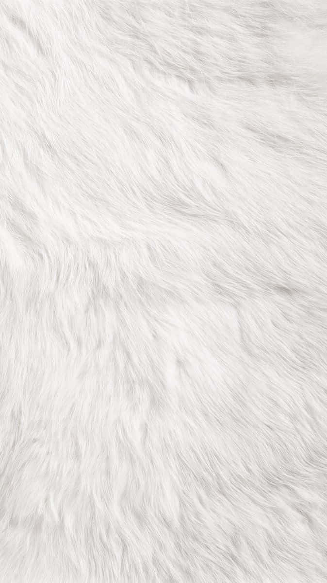 Fuzzy White Fur Wallpaper