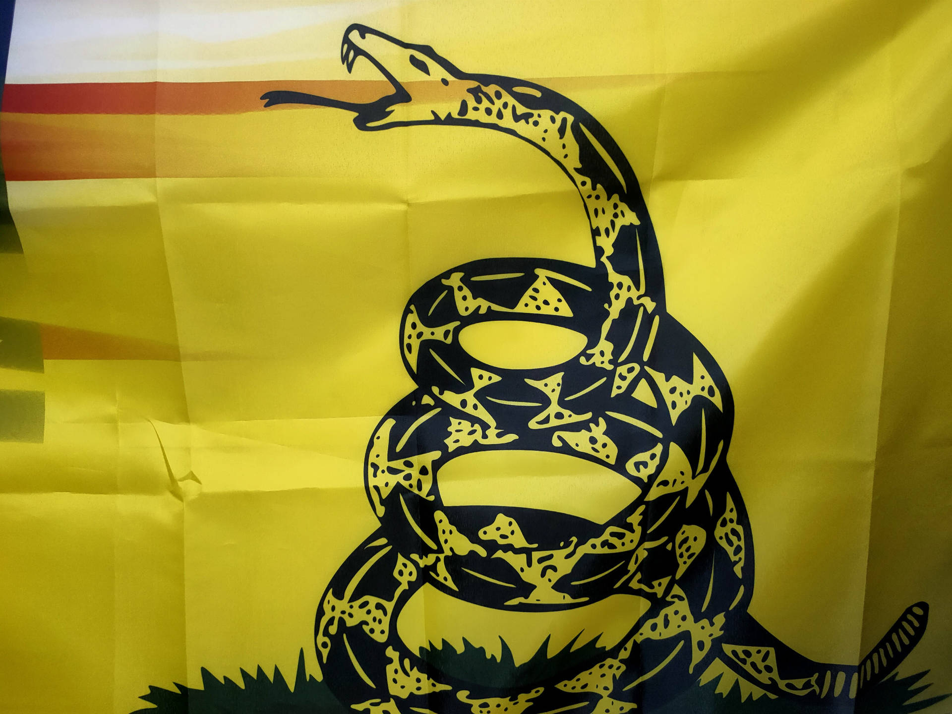 Et gult og sort flag med en slange på det. Wallpaper