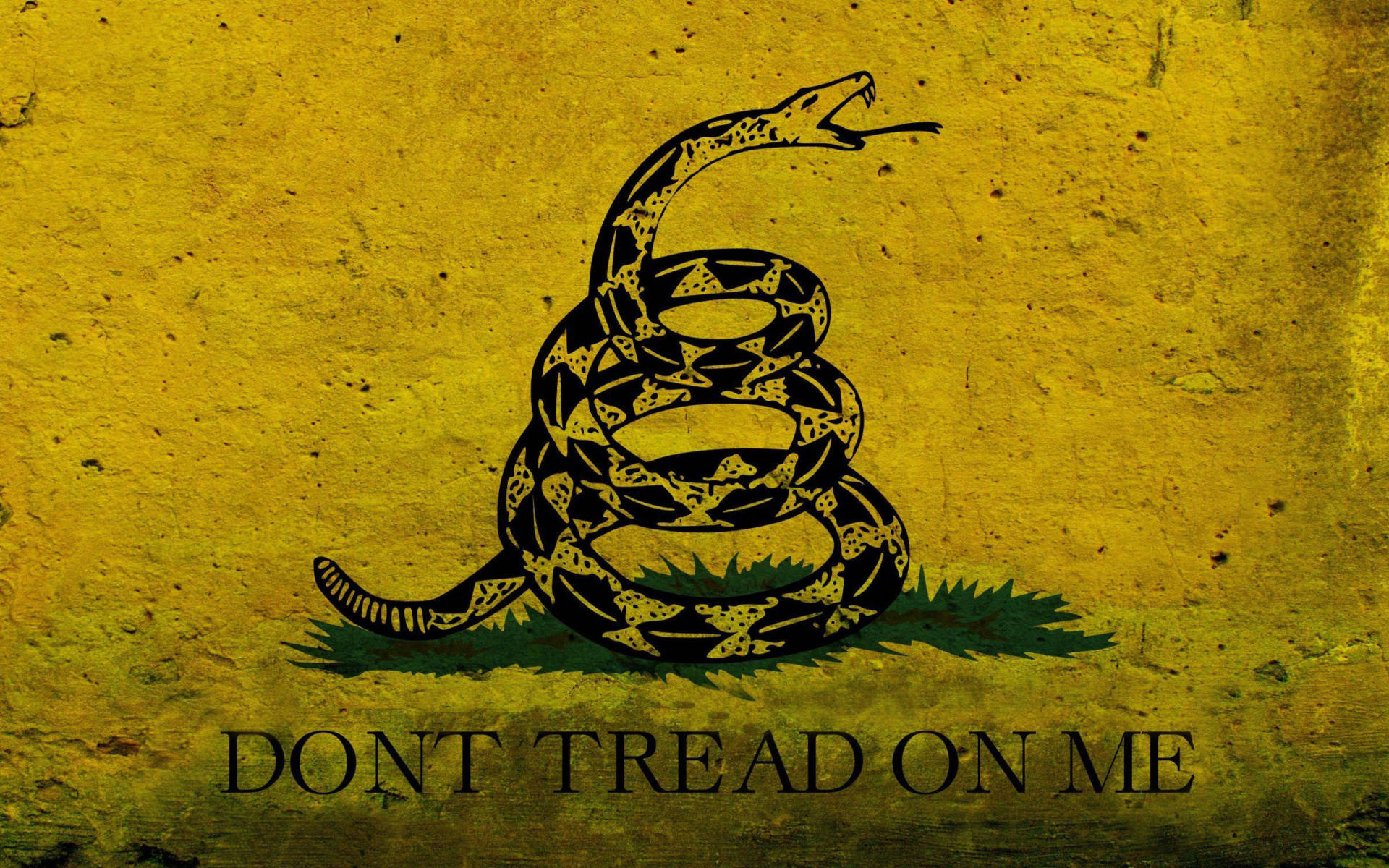 Gadsden Flag Mirrored Snake Logo Wallpaper