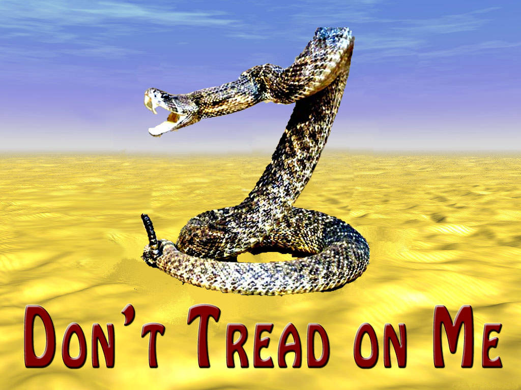 Gadsden Flag Realistic Rattlesnake Wallpaper