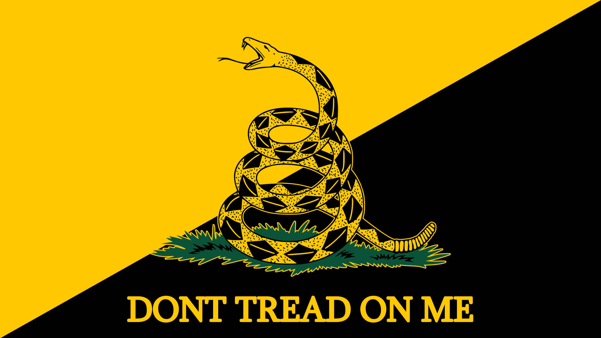 Gadsden Flag Rattle Snake Logo Wallpaper