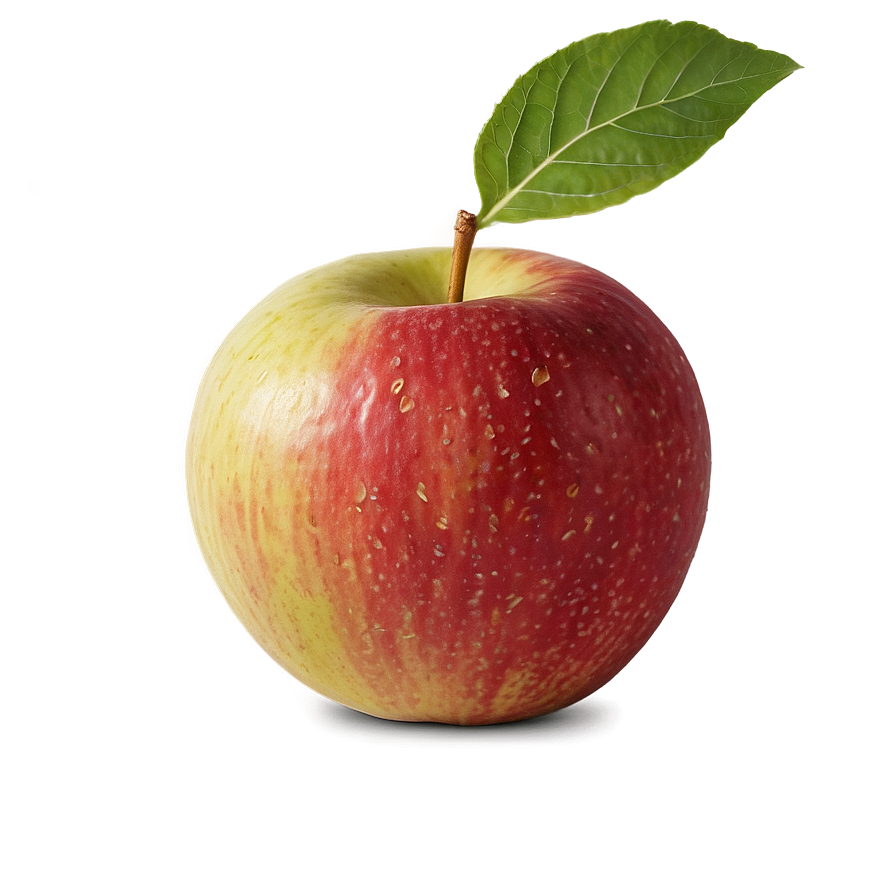 Gala Apple Png Usa3 PNG