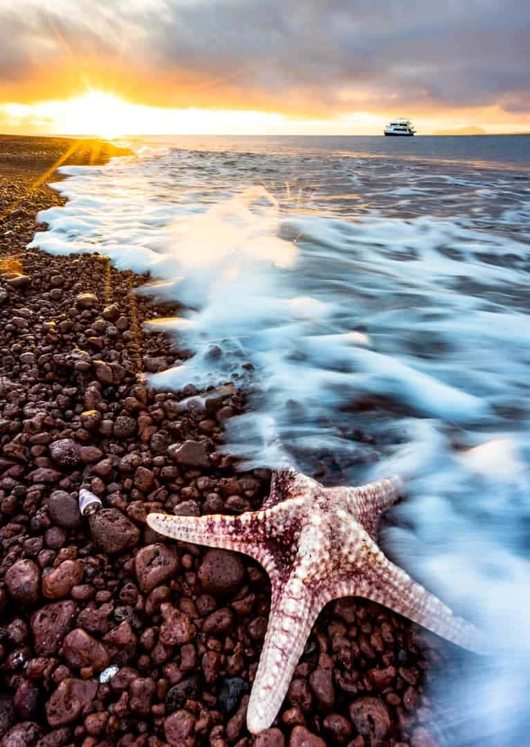 Galapagosöarnafantastisk Strand Solnedgång. Wallpaper